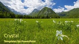  Presentation with spring - PPT theme featuring spring-flower-in-triglavski-national background and a tawny brown colored foreground