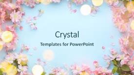  Presentation with bud - PPT theme featuring spring flower with lights copy background and a sky blue colored foreground