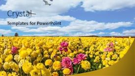  Presentation with rural tourism concept - Cool new slide set with spring-flowering-kibbutz-fields backdrop and a light blue colored foreground