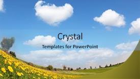  Presentation with peony - PPT layouts featuring spring flowering peony garden beautiful fields of ranunculus grown in the south background and a light blue colored foreground