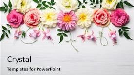  Presentation with festive - Beautiful presentation theme featuring spring flowers - festive flower composition backdrop and a white colored foreground