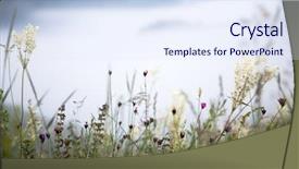  Presentation with misty - Audience pleasing presentation design consisting of spring flowers against misty mountain backdrop and a  colored foreground