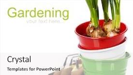  Presentation with garden tools - Amazing PPT theme having spring flowers and garden tools isolated on white with easy removable sample text backdrop and a white colored foreground