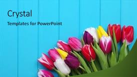  Presentation with jasmine spring flowers - Colorful presentation design enhanced with spring flowers background fresh colorful backdrop and a cyan colored foreground