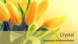 Presentation with flower elegant - Slide deck enhanced with spring flowers bunch beautiful yellow background and a yellow colored foreground