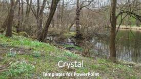  Presentation with spring - Slide deck having spring-flowers-by-river-dyje background and a violet colored foreground