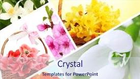  Presentation with spring - Slide deck featuring spring flowers collage background and a sky blue colored foreground