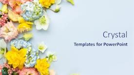  Presentation with blue floral - Presentation theme with spring-flowers-composition-on-pastel background and a sky blue colored foreground
