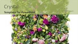  Presentation with element - 