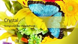  Presentation with group of wildlife crocodile isolated - Colorful PPT theme enhanced with spring flowers exotic butterflies - butterfly and group flower isolated backdrop and a yellow colored foreground