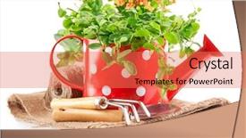  Presentation with garden tools - Audience pleasing PPT theme consisting of spring flowers green leaves in watering can garden tools isolated on white background backdrop and a coral colored foreground