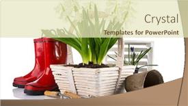  Presentation with tools - Amazing PPT theme having spring-flowers-in-basket backdrop and a soft green colored foreground