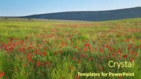  Presentation with beautiful spring flowers - Beautiful PPT theme featuring spring-flowers-in-meadow-beautiful backdrop and a tawny brown colored foreground