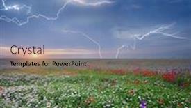  Presentation with stroke - PPT theme having spring-flowers-in-meadow-during background and a teal colored foreground