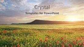  Presentation with beautiful spring flowers - Theme having spring-flowers-in-meadow background and a light blue colored foreground