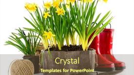  Presentation with lent - Slide deck having spring-flowers-in-pot background and a tawny brown colored foreground