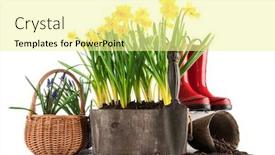  Presentation with lent - Audience pleasing slides consisting of spring-flowers-in-pot backdrop and a blonde colored foreground