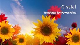  Presentation with spring - Slide set consisting of spring flowers in the garden background and a ocean colored foreground