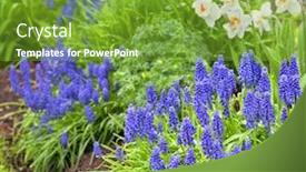  Presentation with home garden - Colorful PPT theme enhanced with spring-flowers-in-the-home backdrop and a tawny brown colored foreground