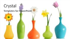  Presentation with white flowers - Presentation with spring flowers in vases isolated background and a white colored foreground