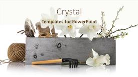  Presentation with lent - Beautiful slides featuring spring-flowers-in-wooden-box backdrop and a cream colored foreground