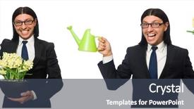  Presentation with white flowers - Presentation theme enhanced with spring flowers isolated on white background and a ocean colored foreground