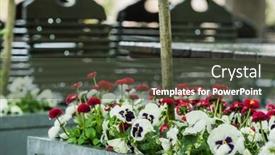  Presentation with paris - Slide deck with spring-flowers-near-cafe background and a tawny brown colored foreground