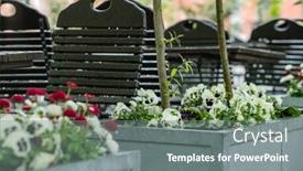  Presentation with paris - Presentation theme enhanced with spring-flowers-near-cafe background and a gray colored foreground