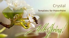  Presentation with spring tree - 