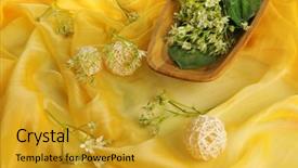  Presentation with ribbon cutting - Slide set featuring spring flowers on yellow background and a  colored foreground