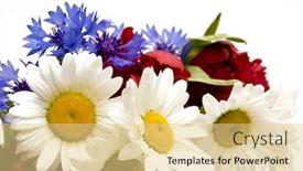  Presentation with peony - Slide deck enhanced with spring-flowers-peony-cornflowers-daisy background and a blonde colored foreground