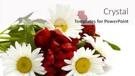  Presentation with peony - Amazing PPT theme having spring-flowers-peony-cornflowers-daisy backdrop and a white colored foreground