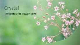  Presentation with vintage floral - Slide set consisting of spring-flowers-romantic-toned-floral background and a mint green colored foreground