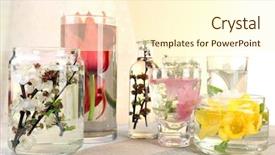  Presentation with spring water - Presentation theme having spring flowers submerged in water background and a cream colored foreground