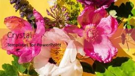  Presentation with leaves - PPT layouts featuring spring-flowers-with-leaves-top and a red colored foreground