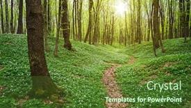  Presentation with path sunlight - Colorful PPT layouts enhanced with spring-forest-landscape-with-wild backdrop and a tawny brown colored foreground