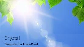  Presentation with green nature - Cool new slide set with spring-forest-trees-leaf-nature backdrop and a light blue colored foreground