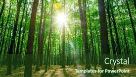  Presentation with green-nature - PPT layouts having spring-forest-trees-nature-green background and a  colored foreground