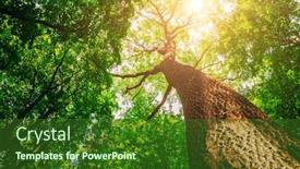  Presentation with green nature - Audience pleasing slide set consisting of spring-forest-trees-nature-green backdrop and a forest green colored foreground
