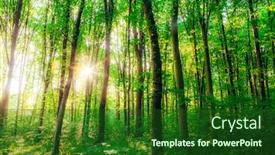  Presentation with green nature - Slide set featuring spring-forest-trees-nature-green background and a forest green colored foreground