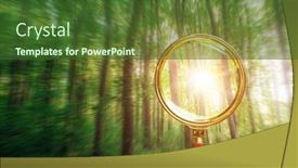  Presentation with green nature - Theme enhanced with spring-forest-trees-nature-green background and a tawny brown colored foreground