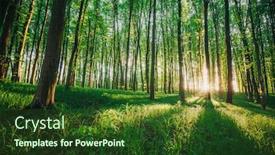  Presentation with wood - Amazing PPT theme having spring-forest-trees-nature-green backdrop and a tawny brown colored foreground