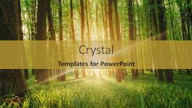  Presentation with green nature - Beautiful PPT theme featuring spring-forest-trees-nature-green backdrop and a gold colored foreground