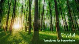  Presentation with green nature - Presentation theme having spring-forest-trees-nature-green background and a tawny brown colored foreground