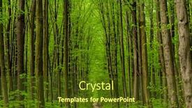  Presentation with green nature - Presentation design consisting of spring-forest-trees-nature-green background and a tawny brown colored foreground