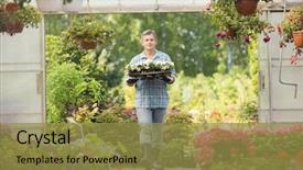  Presentation with flower pots - PPT theme with spring foreward - portrait of gardener carrying crate background and a gold colored foreground