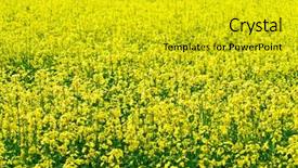 Presentation with diesel - Amazing theme having spring foreward - rapeseed field seed for bio-diesel backdrop and a  colored foreground