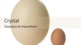  Presentation with egg - Colorful theme enhanced with ostrich egg isolated on white backdrop and a lemonade colored foreground