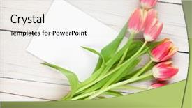  Presentation with greeting card - Amazing presentation design having spring frame - colorful tulip bouquet and blank backdrop and a  colored foreground