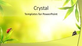  Presentation with ladybug - Amazing slide set having spring frame - ladybug sitting on bamboo leaves backdrop and a blonde colored foreground